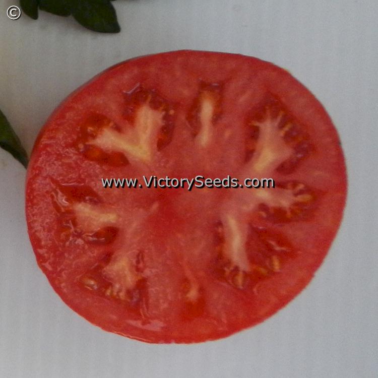 A slice of an 'Andrew Rahart's Jumbo Red' tomato.