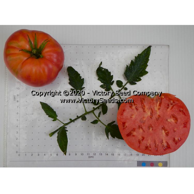 'Anna Dutka Family Heirloom' tomatoes.