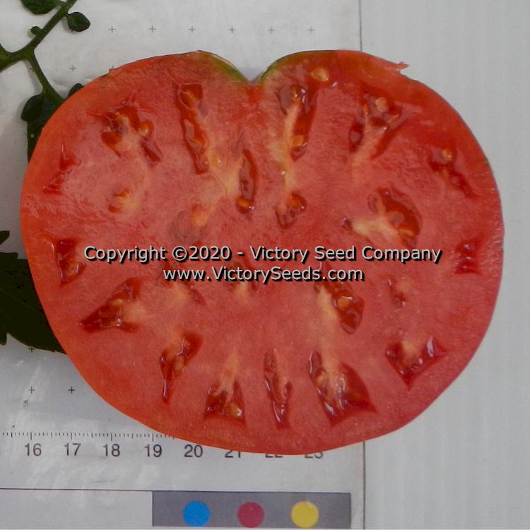 A slice of an 'Anna Dutka Family Heirloom' tomato.