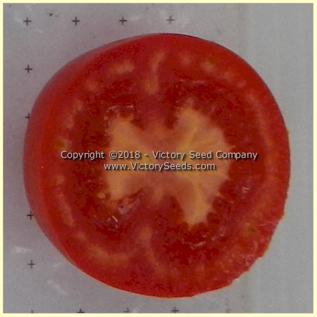'Basrawya' tomato slice.