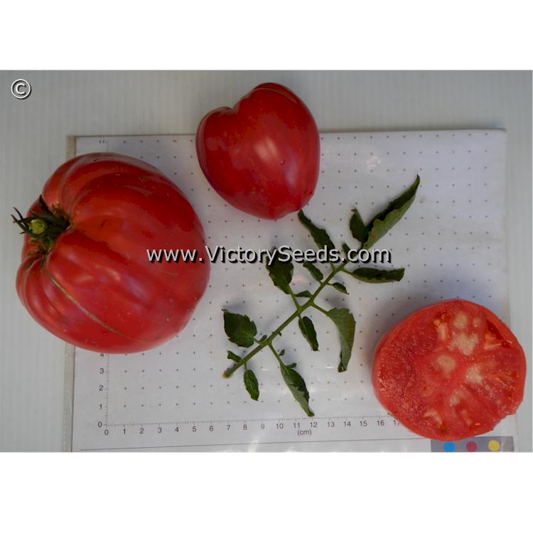 'Bell's German Pink' tomatoes.