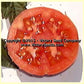 Burpee's 'Fordhook First' tomato slice.
