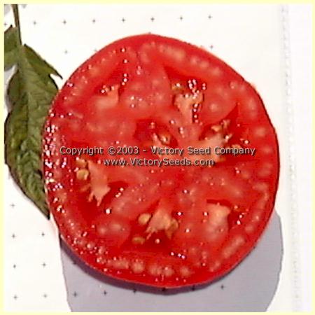 Burpee's 'Globe' tomato.
