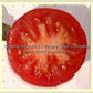 'Burpee's Matchless' tomato slice.