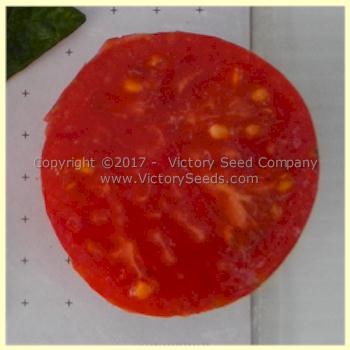 'Caitlin's Lucky Stripe' tomato slice.