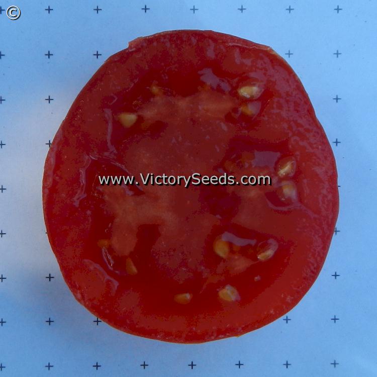 'Cal Ace' tomato slice.
