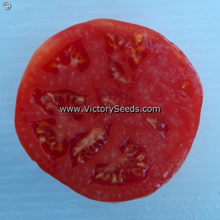 'Carter's Mortgage Lifter' tomato slice.