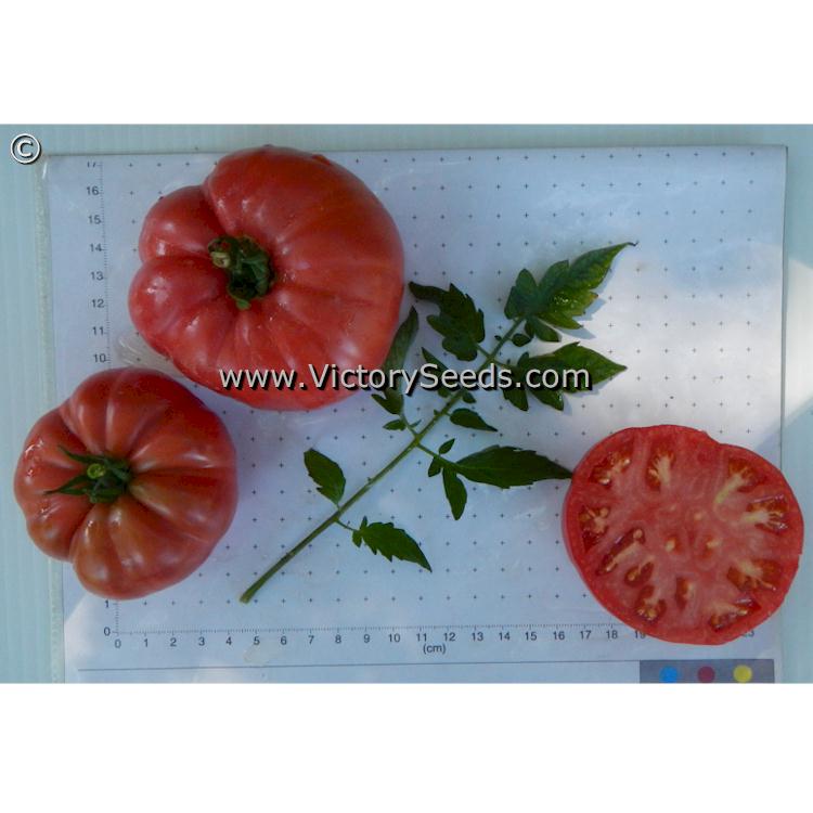 'Cartwright's Mortgage Lifter' tomatoes.