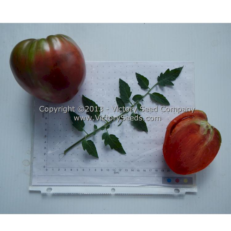 'Cherokee Purple Heart' tomatoes.