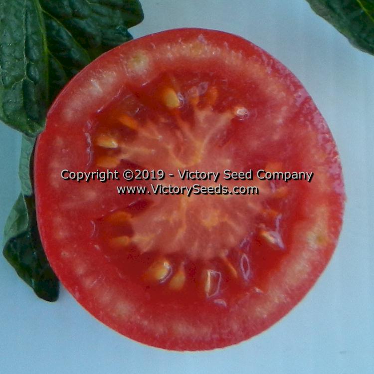 The inside of a 'Clare Valley Pink' tomato.