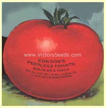 Condon's Peerless Tomato from the 1926 Condon Bros. Seed Annual