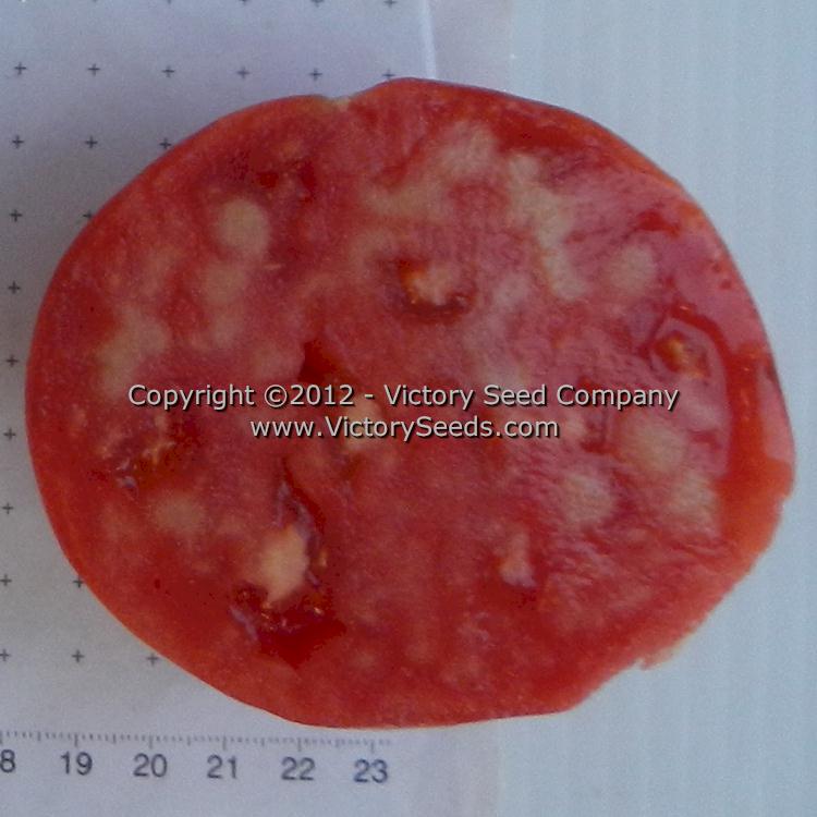 'Cosner' tomato slice.