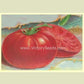 Crimson Cushion Tomato from the 1901 Peter Henderson seed annual.