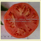 'Crimson Cushion' tomato slice.