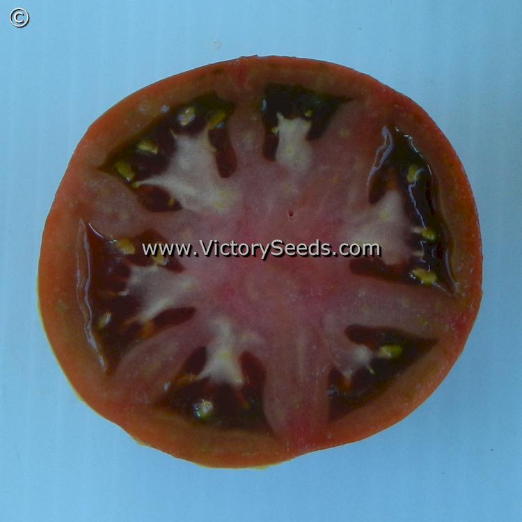 The inside of a 'Deaton's Dwarf' tomato.