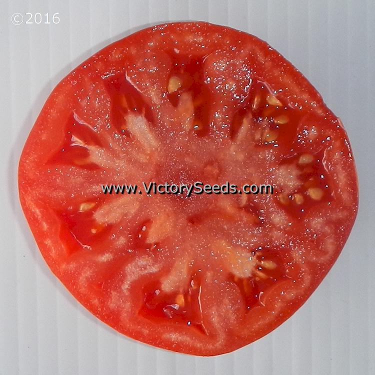'Diener' tomato slice.