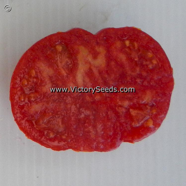 A slice of an 'Don's Double Delight' tomato.
