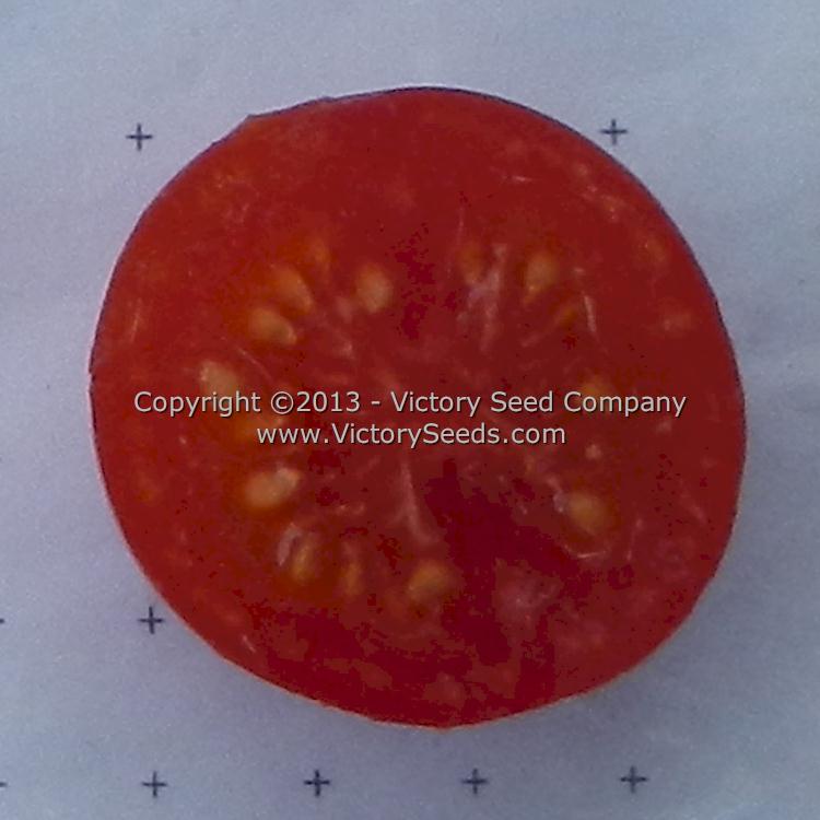 Inside a 'Durmitor' tomato.