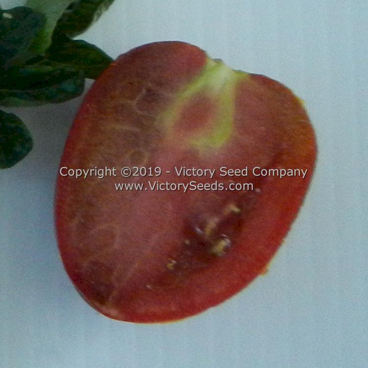 The inside of an 'Aussie Drop' tomato.