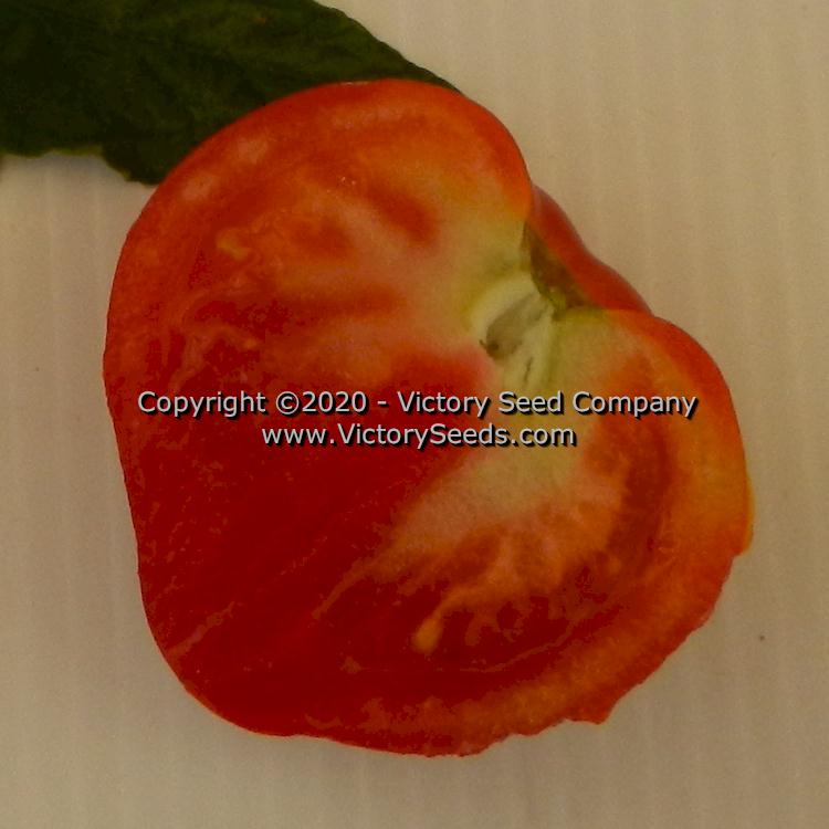 The inside of a 'Dwarf Buddy's Heart' tomato.