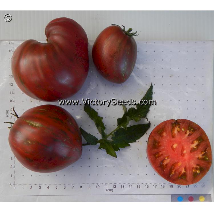 'Dwarf Chocolate Heartthrob' tomatoes.