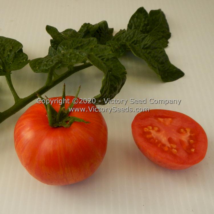 'Dwarf Edith Stone' tomatoes.