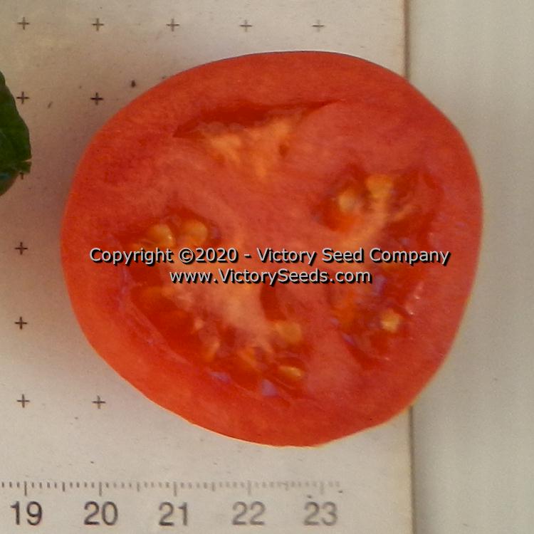 The inside of a 'Dwarf Edith Stone' tomato.