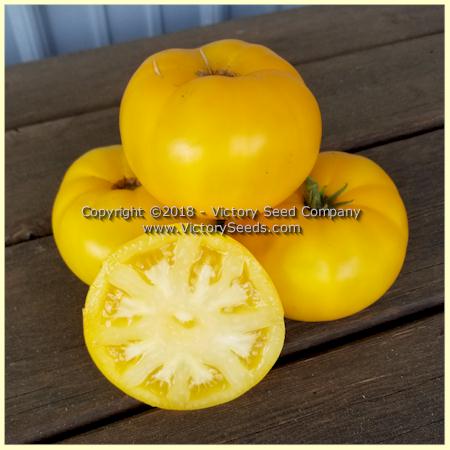 'Dwarf Egypt Yellow' tomatoes.