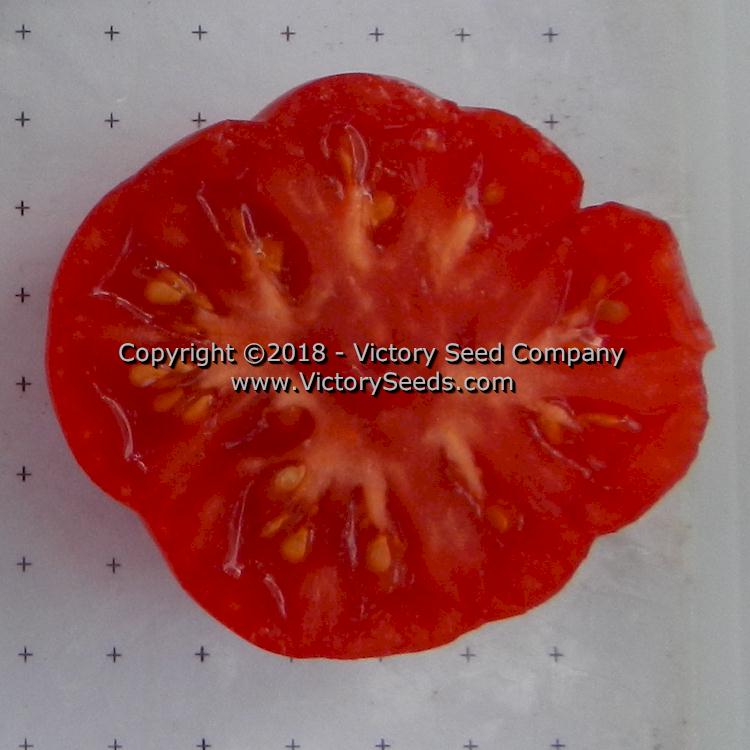 'Dwarf Franklin County' tomato slice.