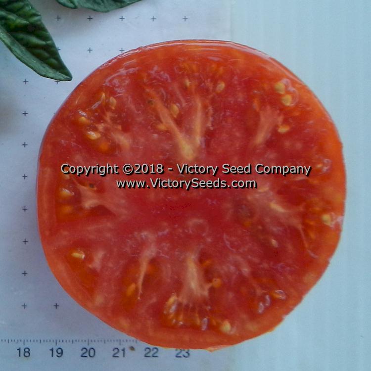 'Dwarf Hannah's Prize' tomato slice.