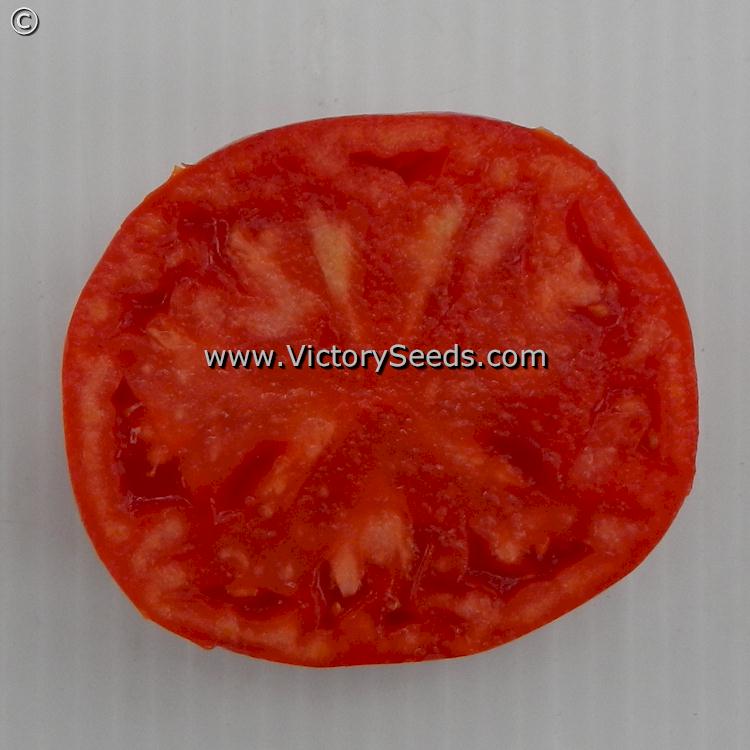 A slice of a 'Dwarf Kodiak King' tomato.