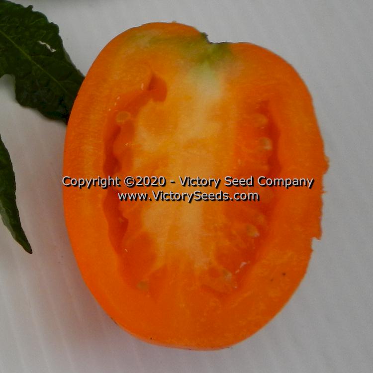 The inside of a 'Dwarf Laura's Bounty' tomato.