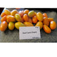 'Dwarf Laura's Bounty' tomatoes. Image courtesy of Susan Oliverson.