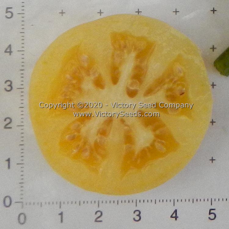 The inside of a 'Dwarf Marong Moon' tomato.