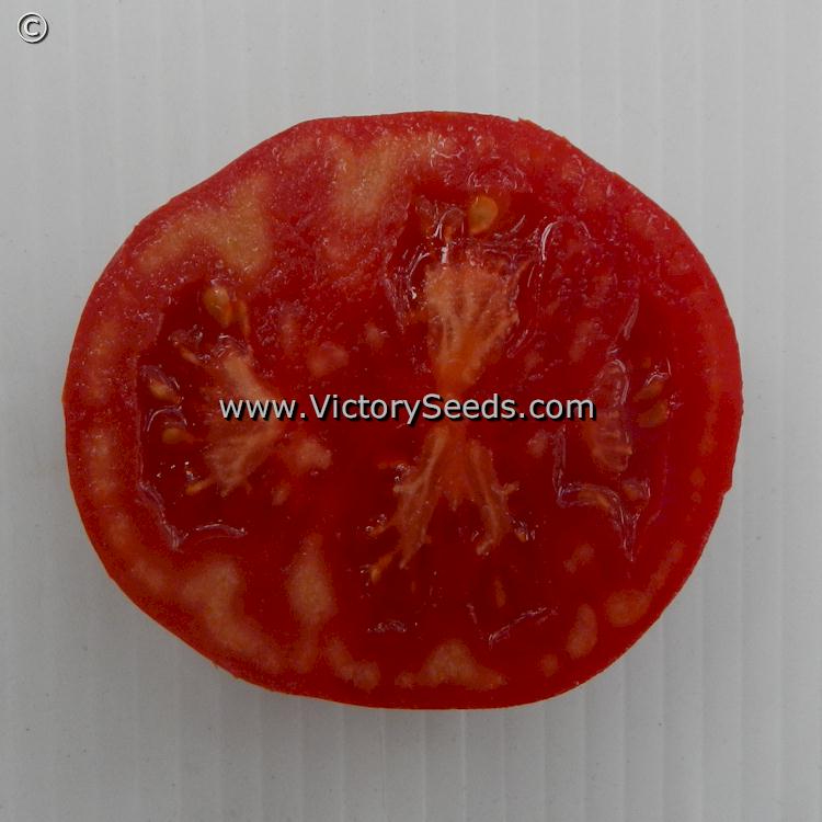 'Dwarf Maura's Cardinal' tomato slice.