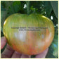 'Dwarf Peppermint Stripes' tomato.
