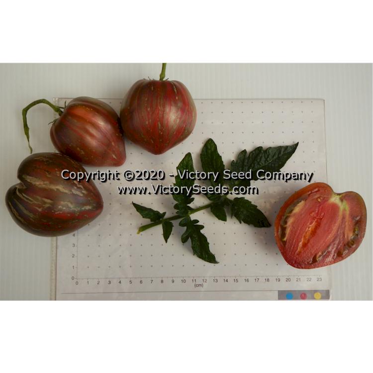 'Dwarf Purple Heartthrob' tomatoes.