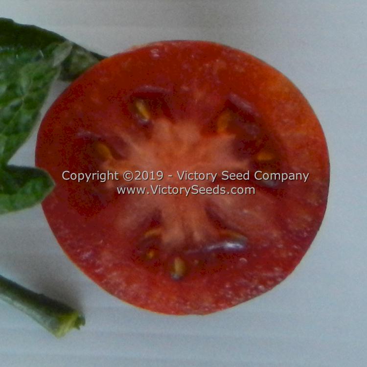The inside of a 'Dwarf Round Robin' tomato.