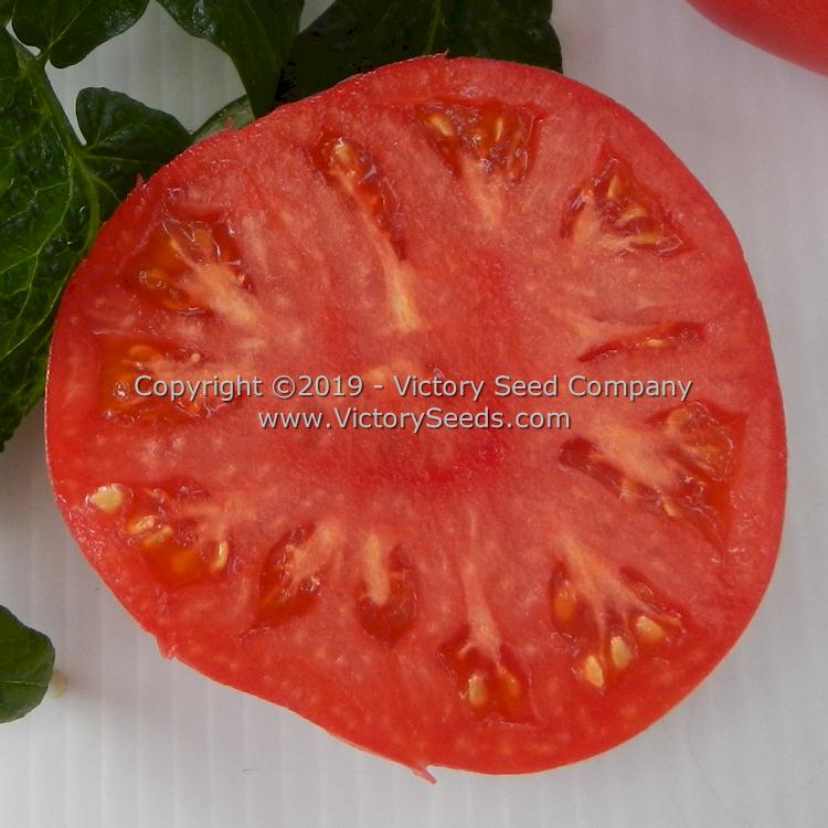 A slice of 'Dwarf Snakebite' tomato.