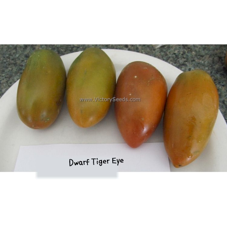 'Dwarf Tiger Eye' tomatoes. Image courtesy of Susan Oliverson.