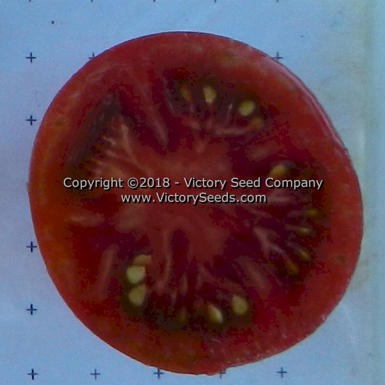 'Dwarf Velvet Night' tomato slice.