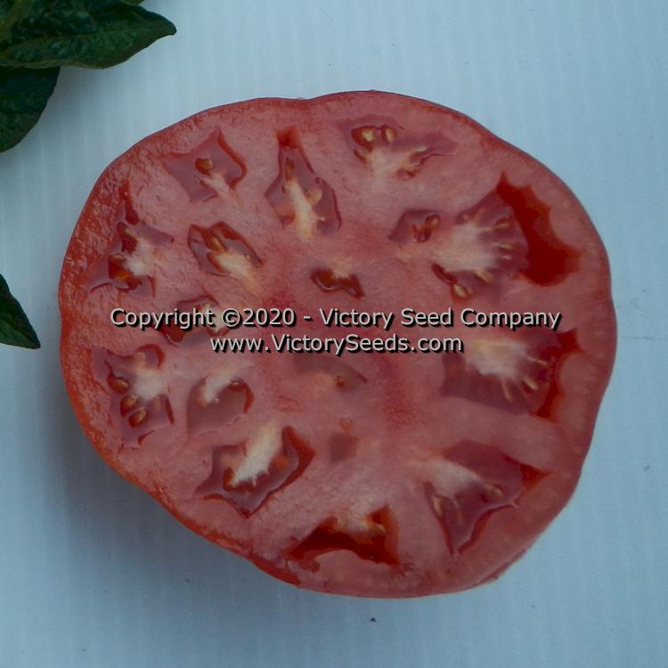 A 'Dwarf Zoe's Sweet' tomato slice.