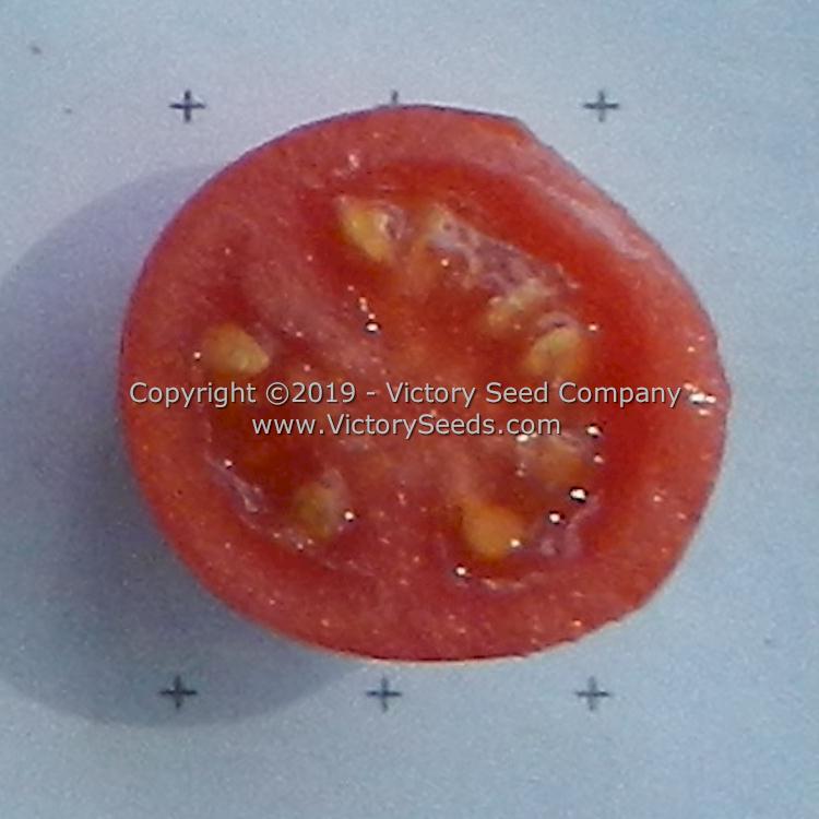 The inside of a 'Farthest North' tomato.