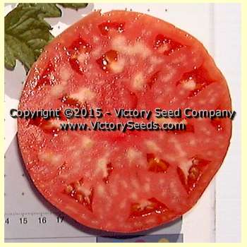 'Florida Pink' tomato slice.