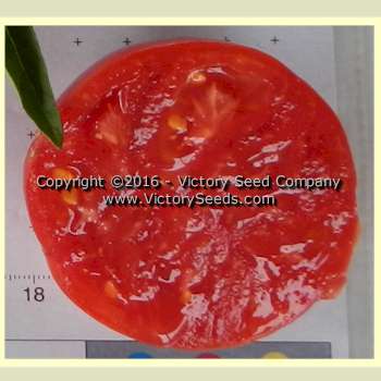 Gill's 'Red Heart' tomato slice.
