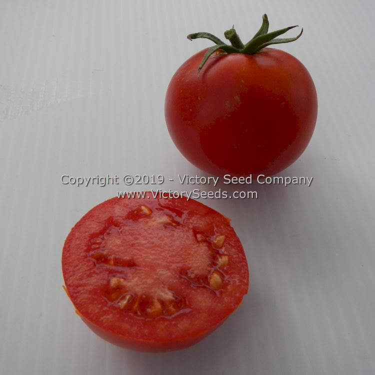 'Globonnie' tomatoes.