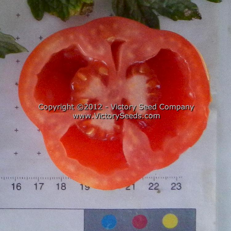 The inside of a 'Gogoshary' stuffing tomato.