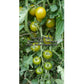 'Green Doctors' tomatoes.