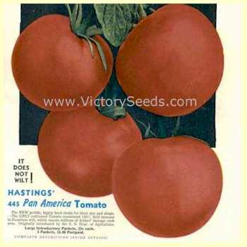Lithograph from the 1946 H. G. Hastings Seed Company Catalog