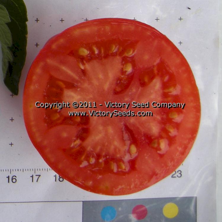 'Heinz VF' tomato slice.